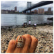 Beatrix ring in 14K yellow gold with diamonds shown on hand with other rings sold separately
